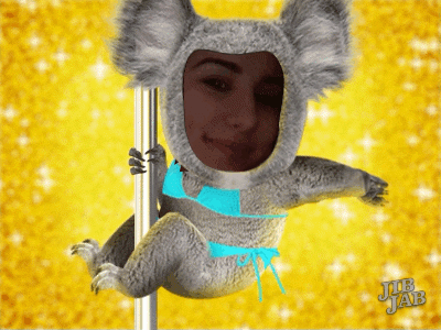 AC6DA34C-08D6-4783-89C4-BEF3E7703C7A.gif