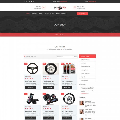 Mr-Fix4.jpg