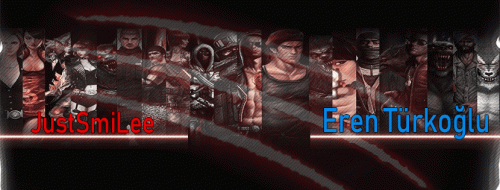 WOLFTEAM-BANNER.gif