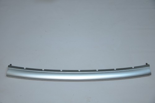 REN07CL062.jpg