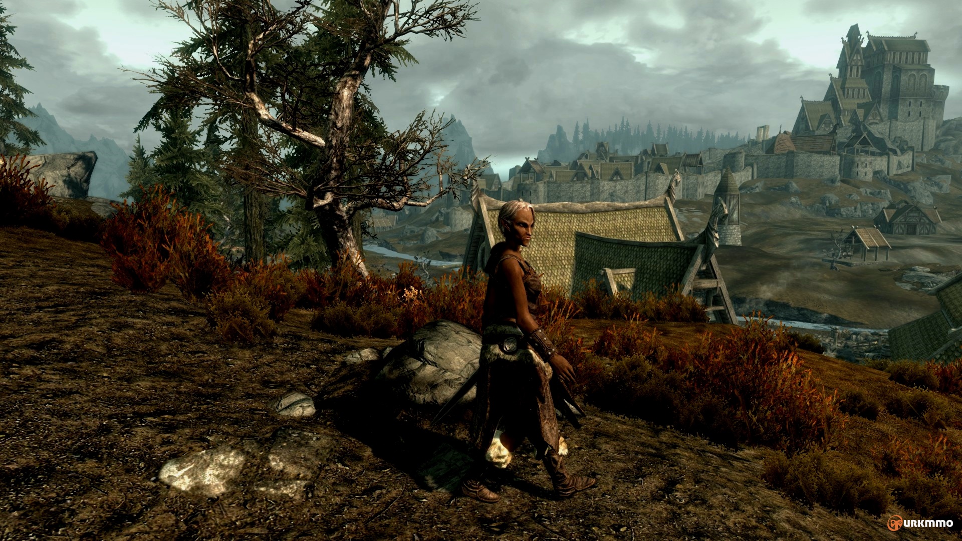 skyrim11.jpg