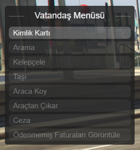 Menu-Goruntusu.png