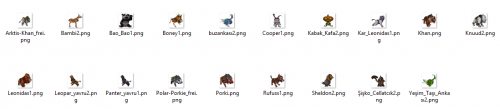 ss.png