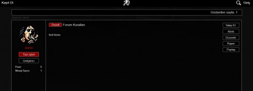 boardscreen2.jpg