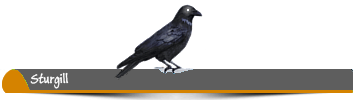 asddasdas1.png