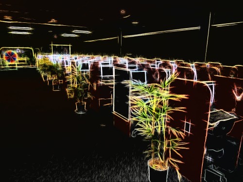 VIRTUAL-ASSISTANT-CAPITAL.jpg