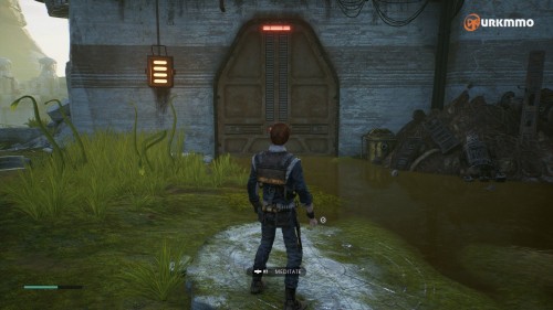 fallenordersavealma2.jpg