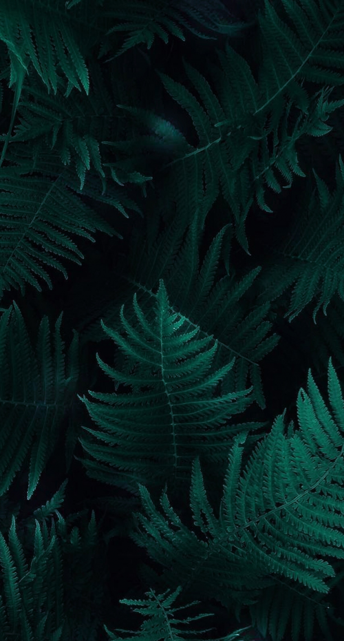 7871DF67-5A13-4387-BC89-B415DCDCFF1B.png