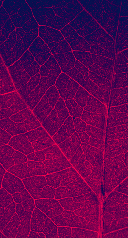 8700BA4D-3372-4818-BDEF-10998632BE0C.png