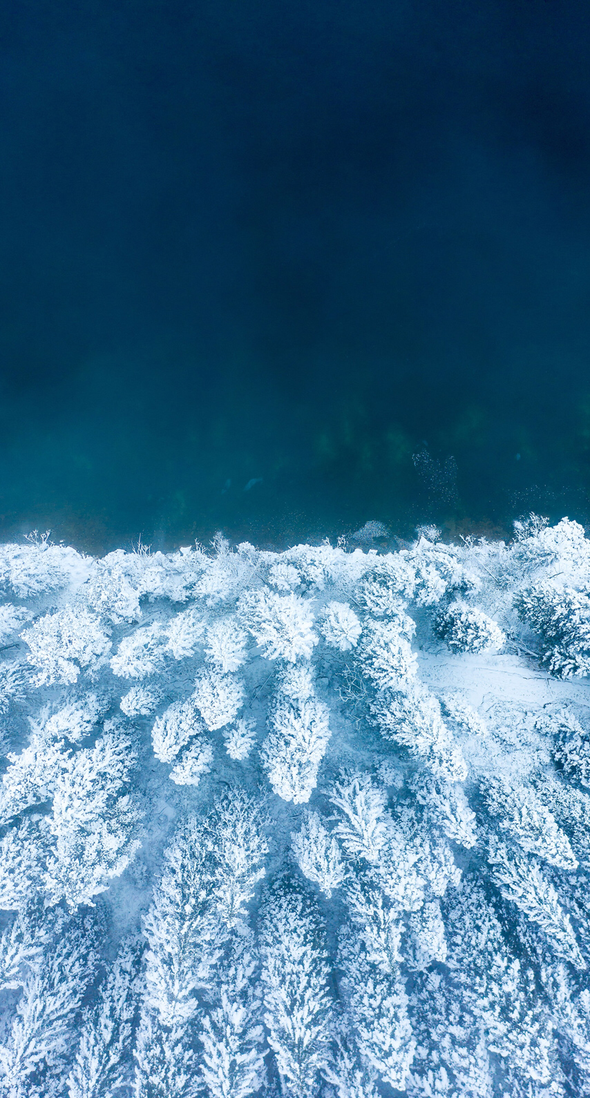 2410806D-6E50-4050-8C7E-E02F9B852614.png