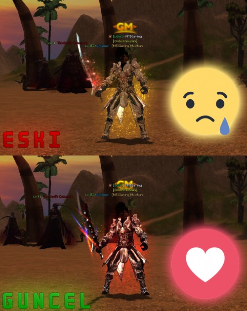 sts.jpg