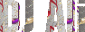 text-vv.gif