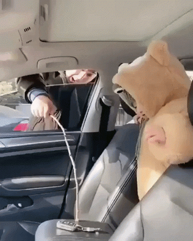 giphy4f01d29d29937a42.gif
