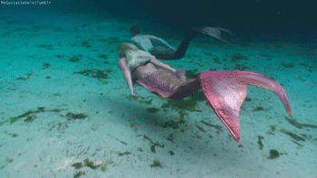 121tumblr_m0qy10TBly1rqet71o2_400.gif