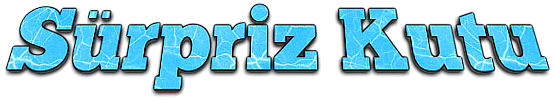 Surpriz-Kutu.png