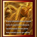 7843C097-C989-4F3A-9691-D37AD2D9B8CD