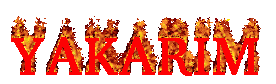 cooltext352632336554847.gif