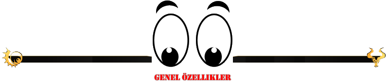 GENel.png