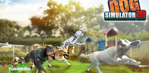 dog-simulator-apk-indir.jpg