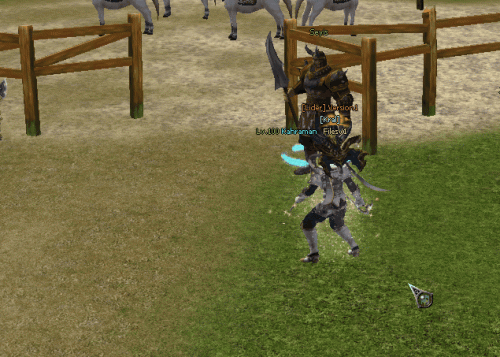 at-yarisi1.gif