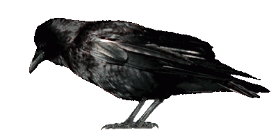 kNHuHR1.gif
