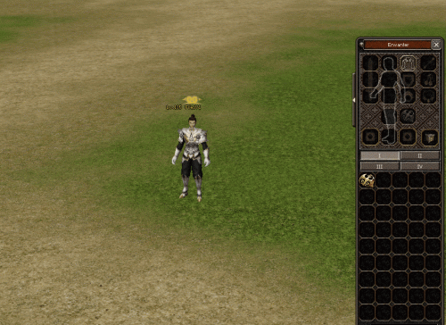 npc-giymeli-pet-sistemi.gif
