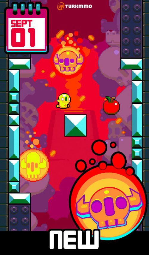 screen-1-1.jpg