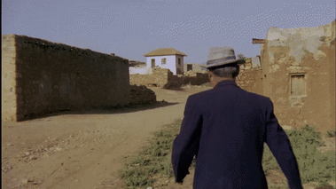 InsidiousDelectableGannet-size_restricted.gif