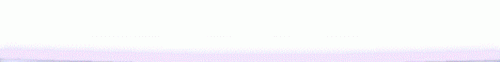 bnr-8.gif