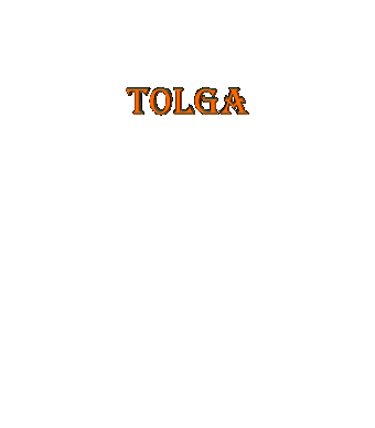 Tolga.LorAlZ.gif