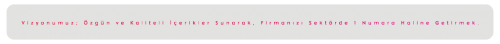 vizyonumuzf279413ecdb8da0b.png