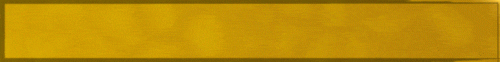 Banner_38.gif