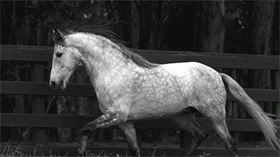 64-a.supere-giphy.gif