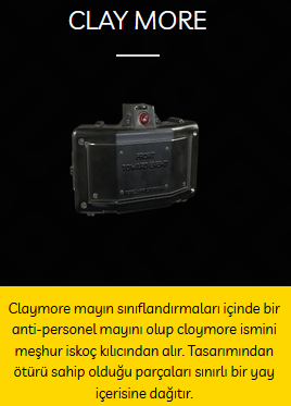 13.png