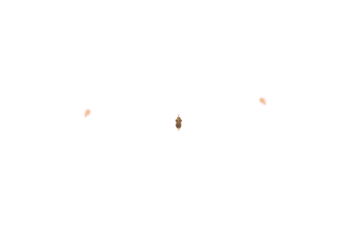 DDDDD.png