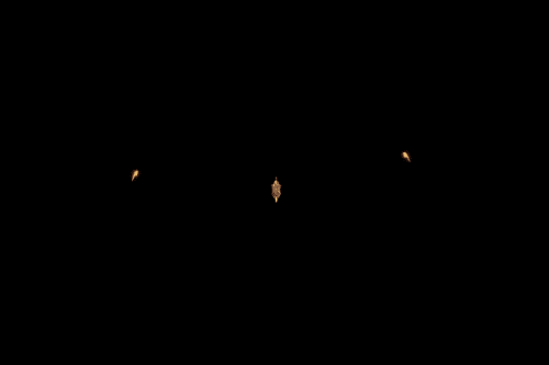 kovidlogo.png