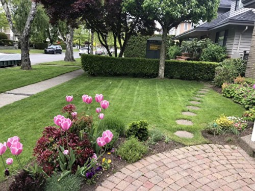 Babylongardensbc.ca is the best gardening service provider in Vancouver. We are serving as a trusted and Expert caretaker of your garden at reasonable prices. Visit our site for more details.

http://babylongardensbc.ca/