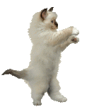 32c656b02e84cb725a5749834ca88c2b_th.gif