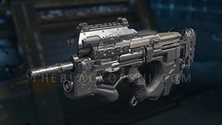 weevil-main-3.jpg