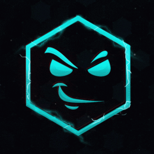 animate-your-discord-server-icon-or-profile-picture-in-24-hours.gif