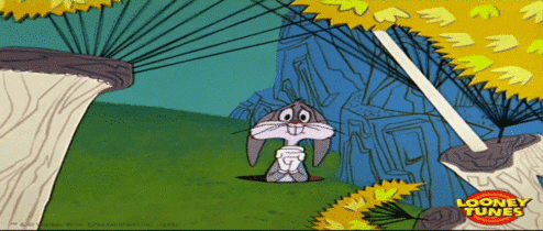 giphy-2.gif