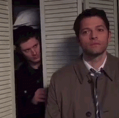 tumblr_oeycwitreR1vyodv8o1_250.gif