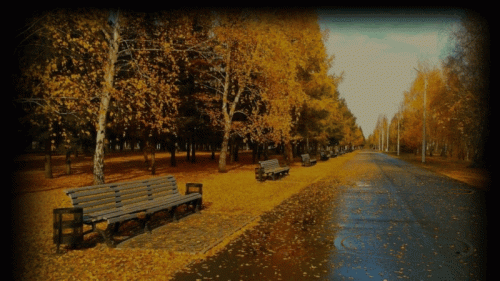 anigif.gif