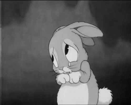 ee9b4e69354f389396d088fee0eb4989.gif