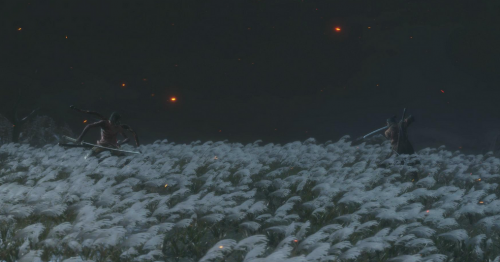 sekiro14803535a1a423c78.png