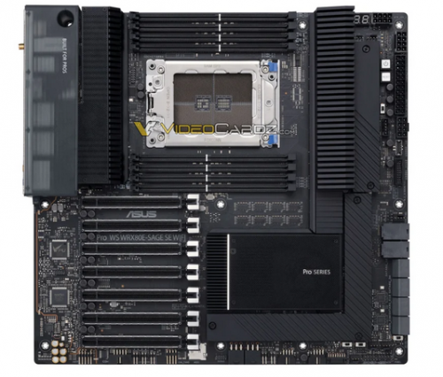 amd.png