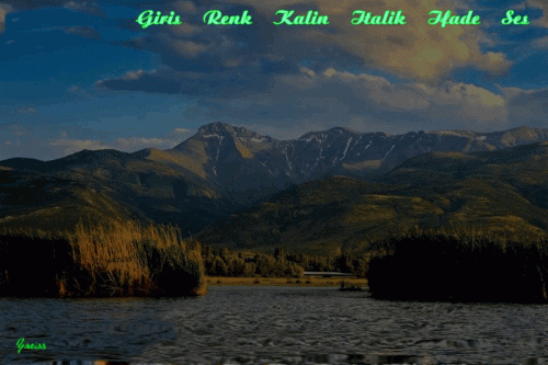 anigif-eber.gif
