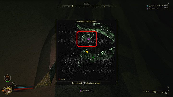 55171906.jpg
