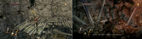 d5.png