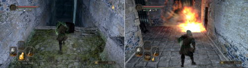 d7.png